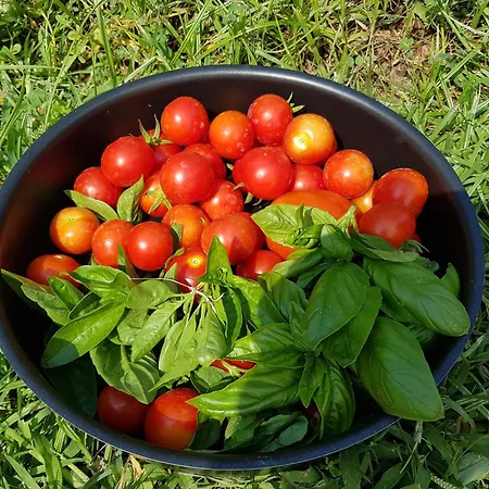 Il Giardino Di Tolù Siracusa * Syracuse