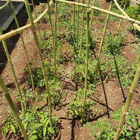 Casa de Férias Il Giardino Di Tolu Siracusa Syracuse